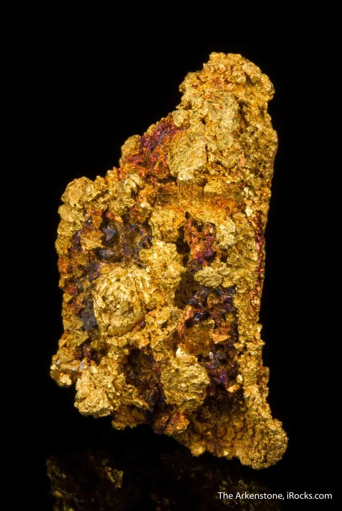 Gold - image 5