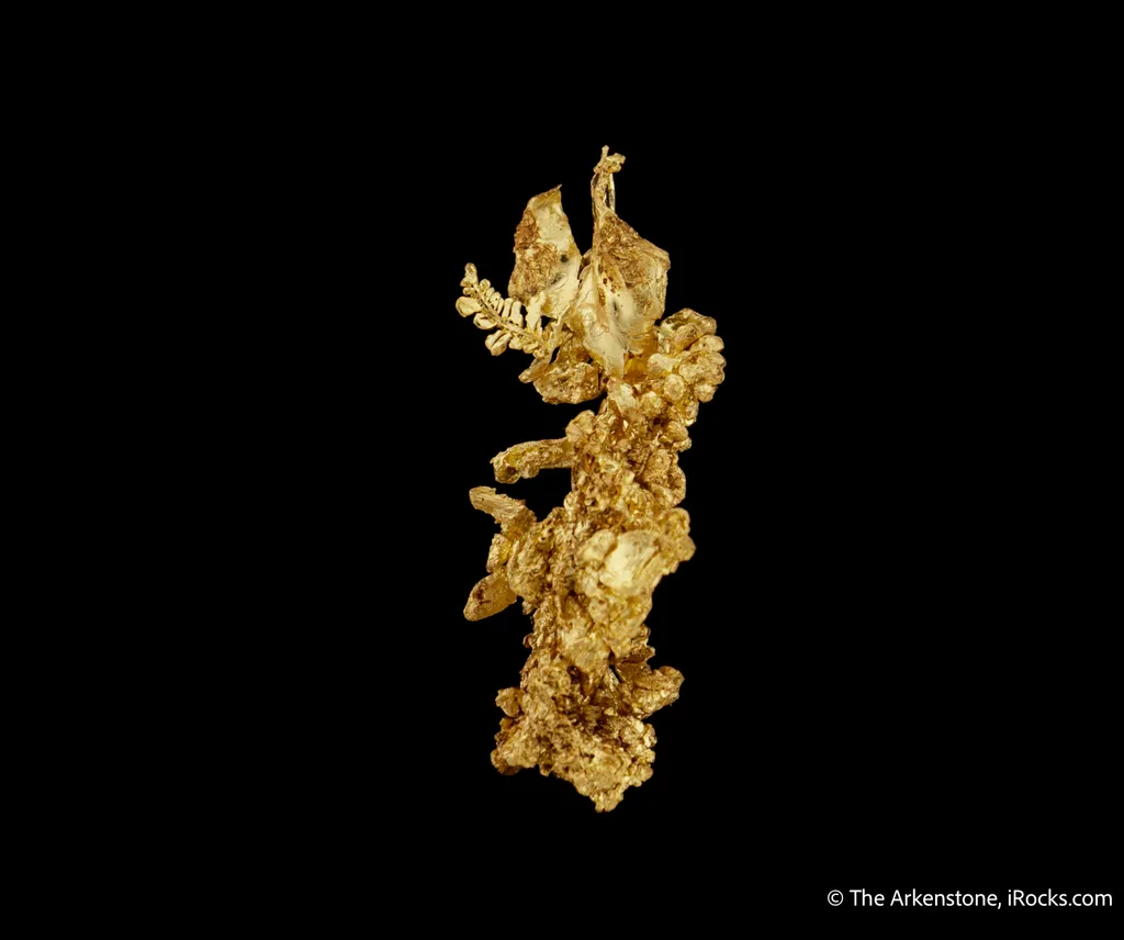 Gold - image 4