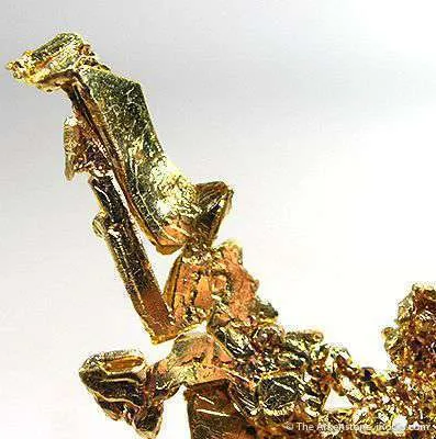 Gold - image 2