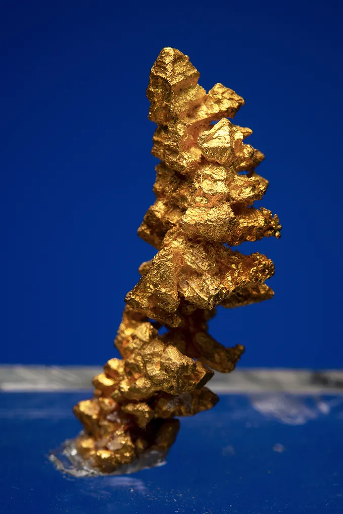 Gold - image 2