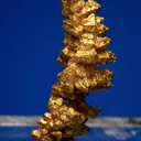 Gold - image 2