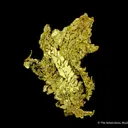Gold - image 4