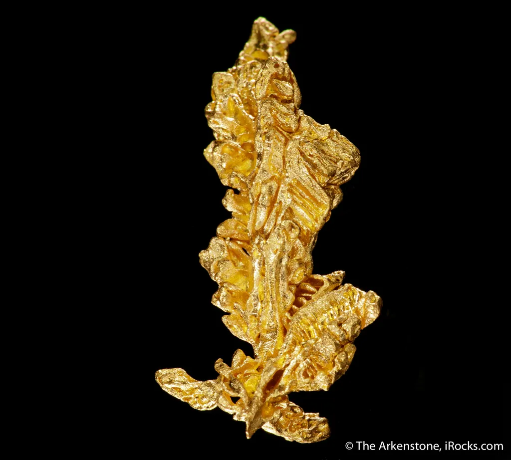 Gold - image 4