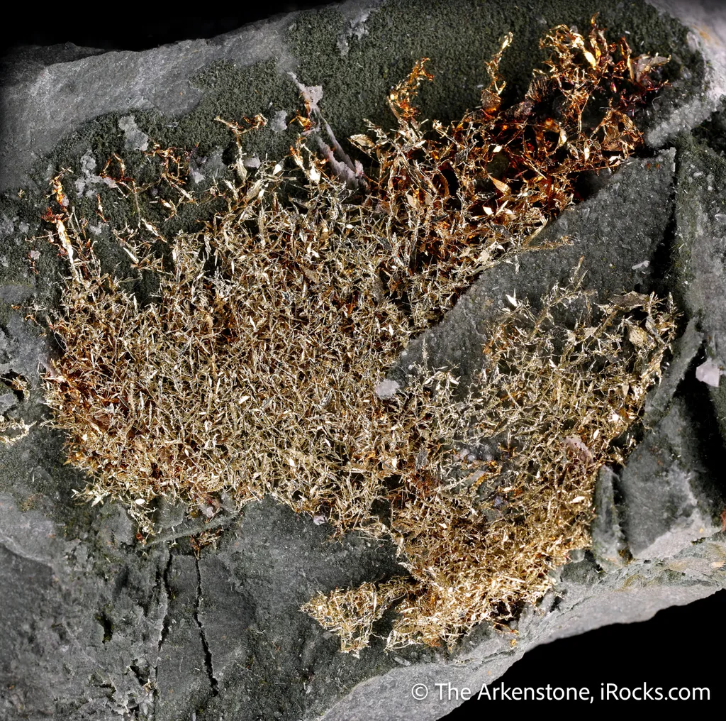 Gold - image 5