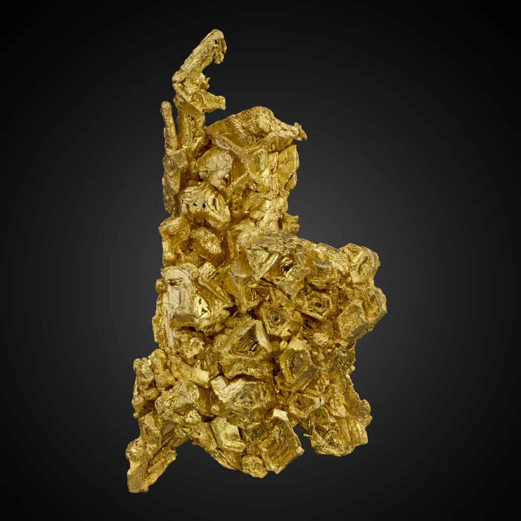 Gold image