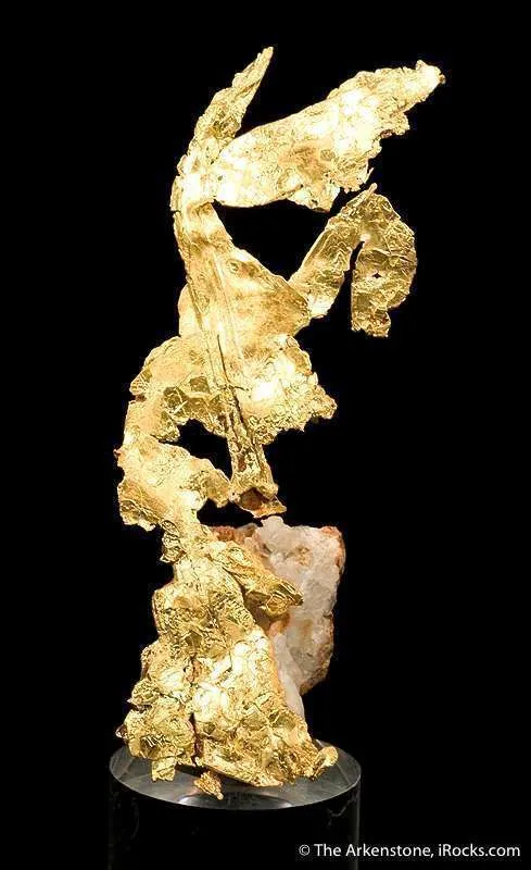 Gold - image 2