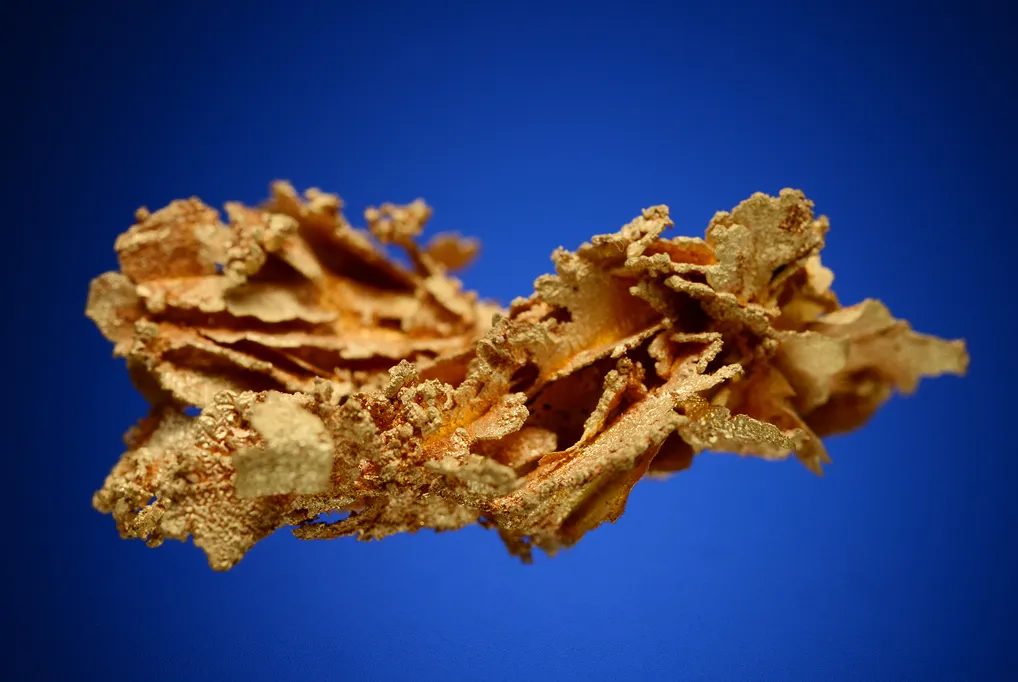 Gold - image 3