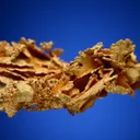 Gold - image 3