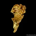 Gold - image 1