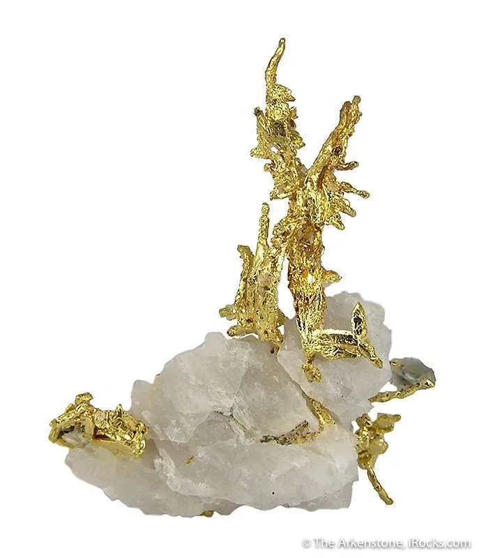 Gold image