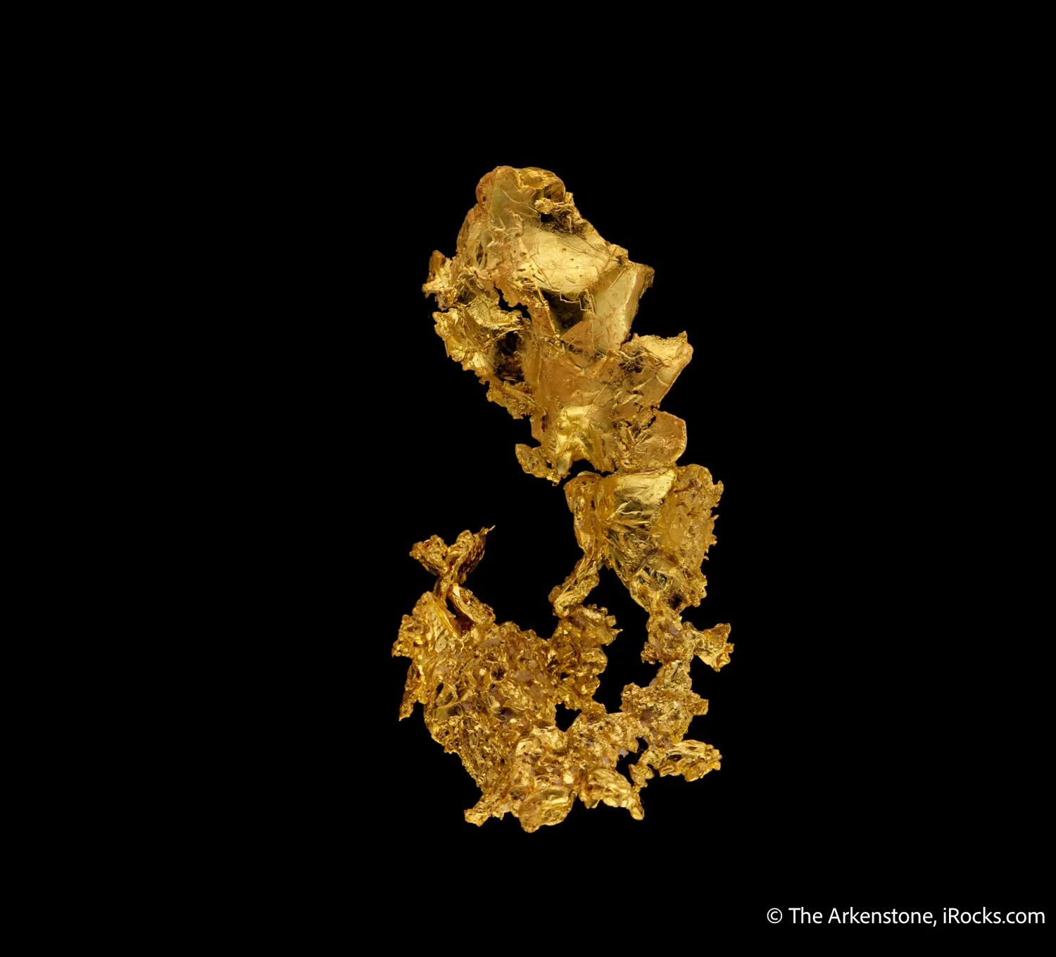 Gold - image 6