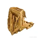 Gold - image 2