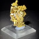 Gold - image 1