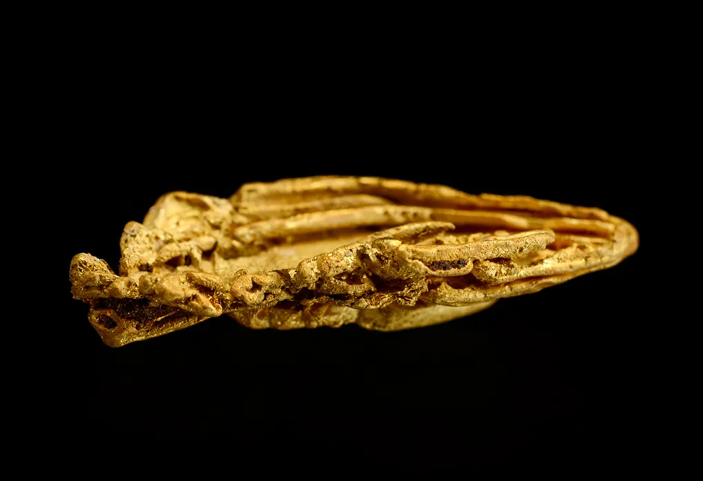 Gold - image 4
