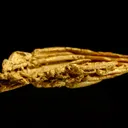 Gold - image 4