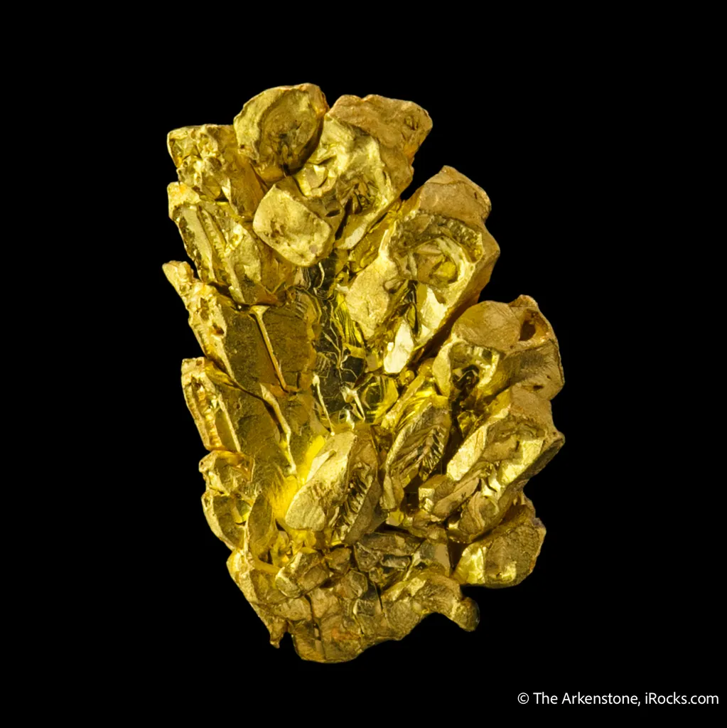 Gold - image 6