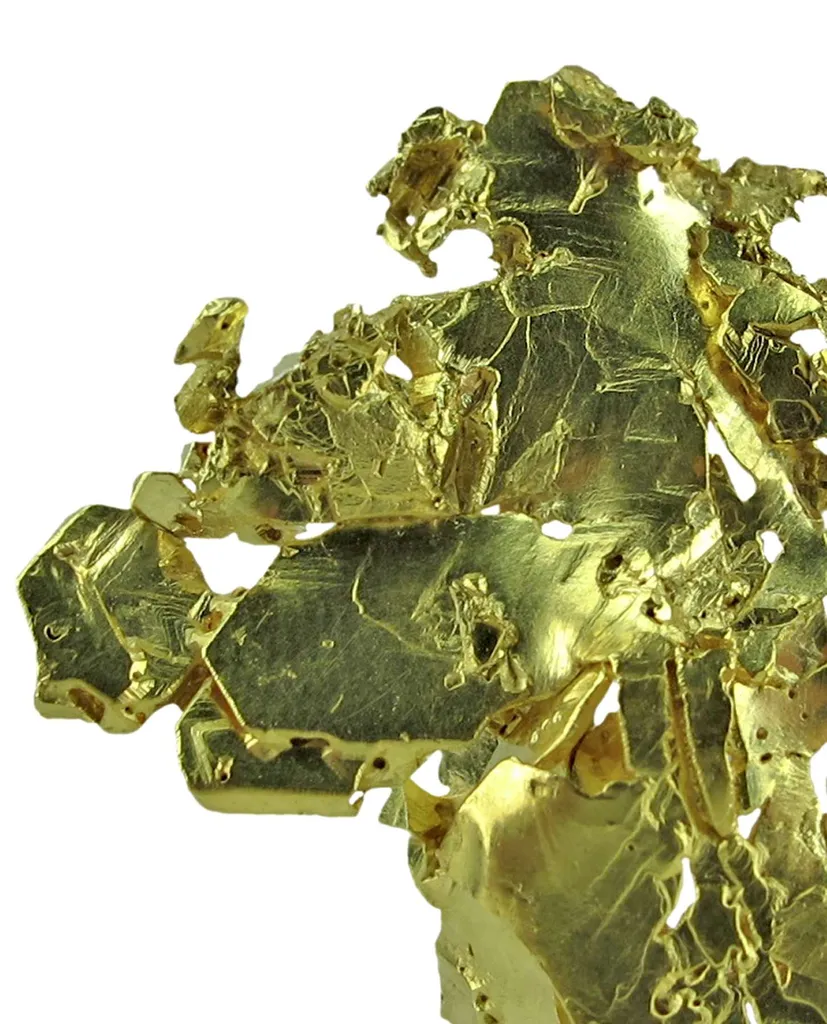 Gold - image 5