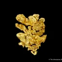 Gold - image 1