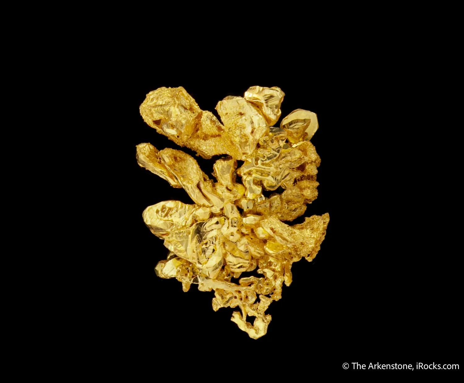 Gold - image 1