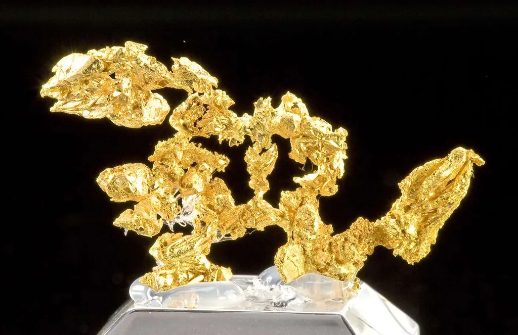 Gold - image 3