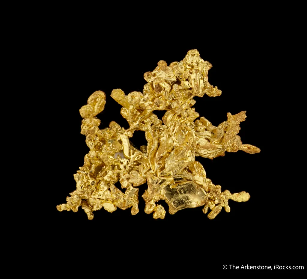 Gold - image 5