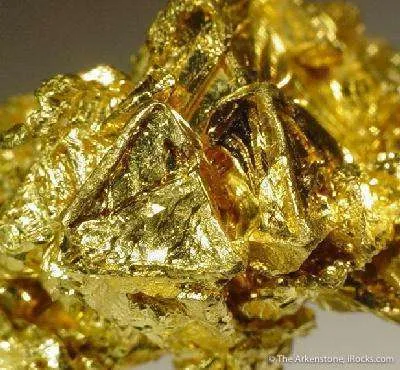 Gold - image 3