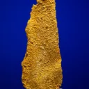 Gold - image 1