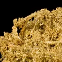 Gold - image 1