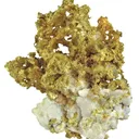 Gold - image 1