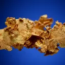 Gold - image 5