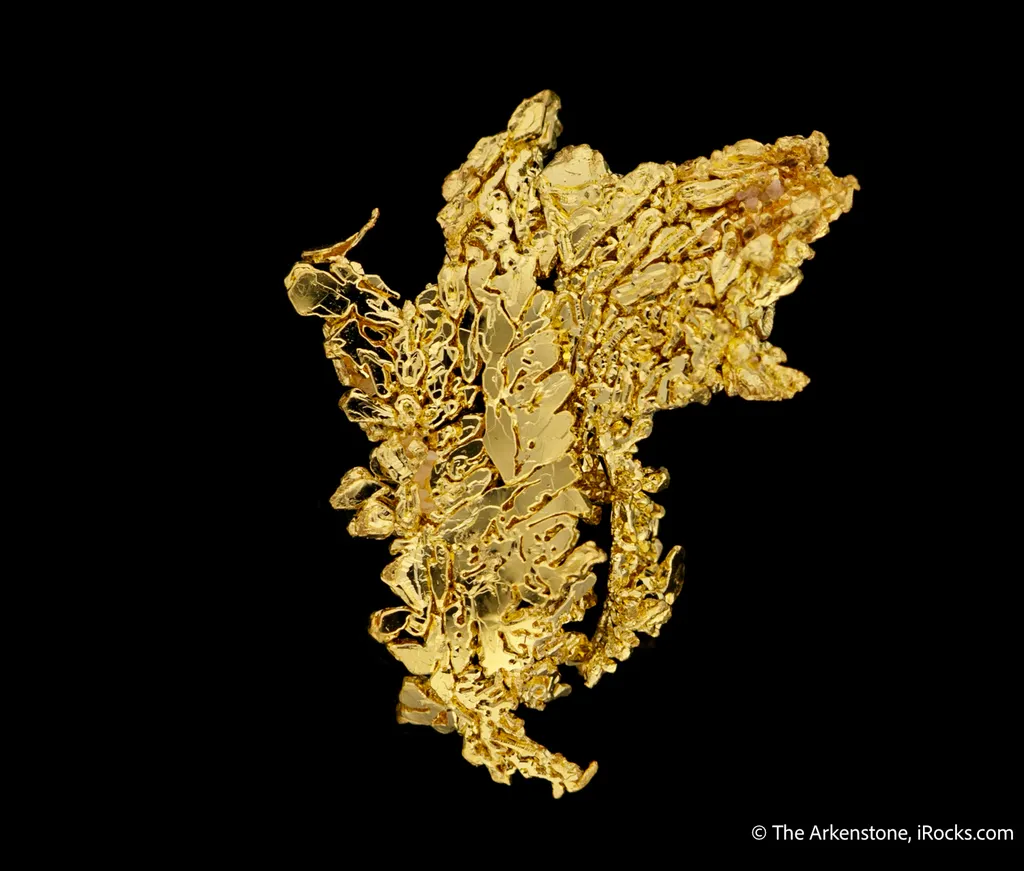 Gold - image 6