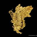 Gold - image 6