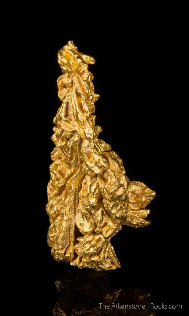 Gold image