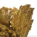 Gold - image 2