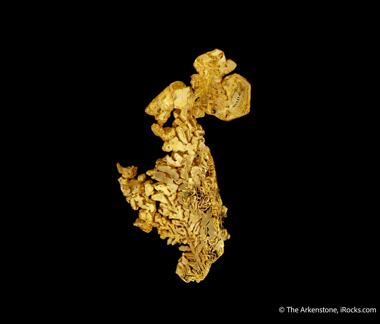 Gold - image 4