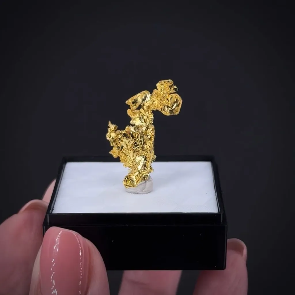 Gold - image 2