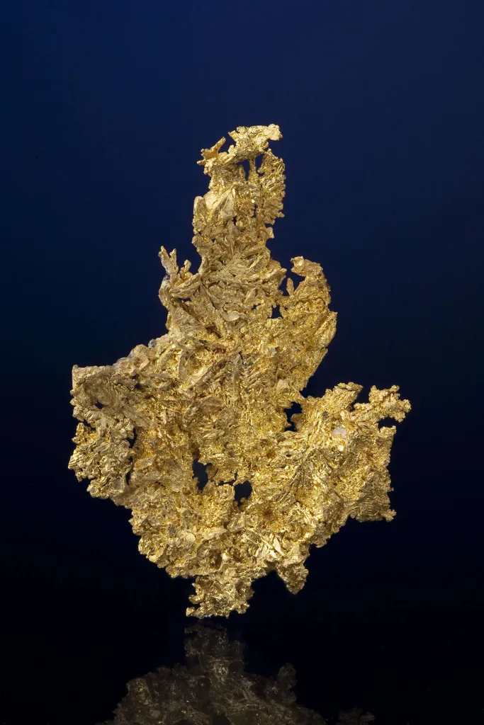 Gold - image 2