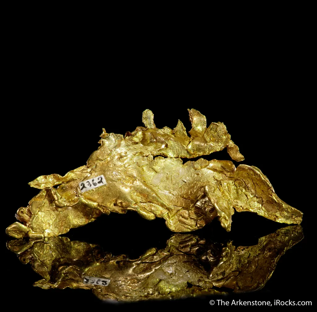Gold - image 5