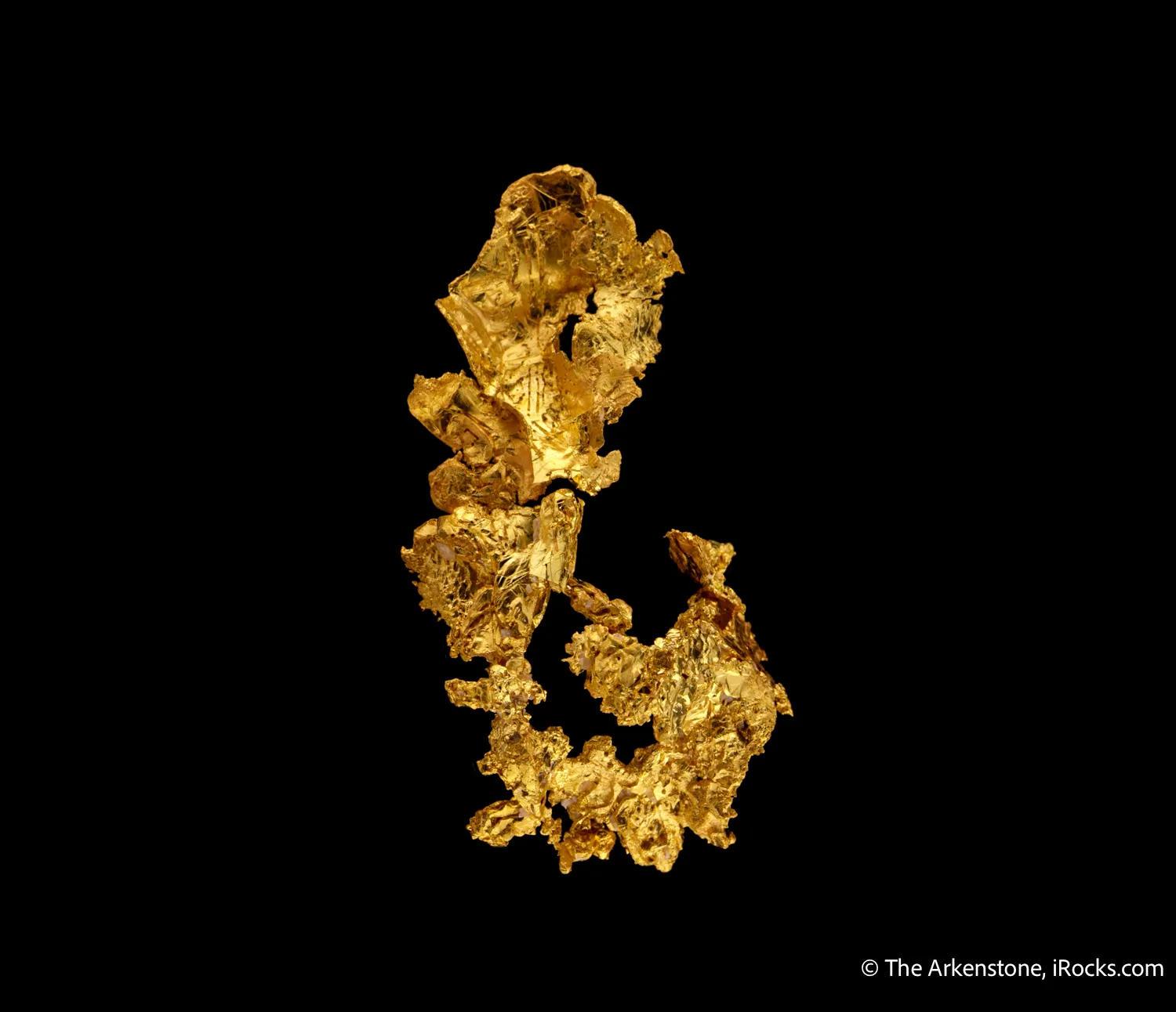 Gold - image 4