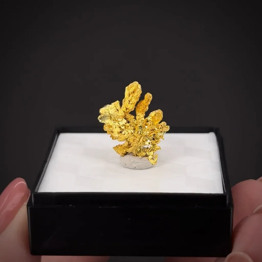 Gold - image 2