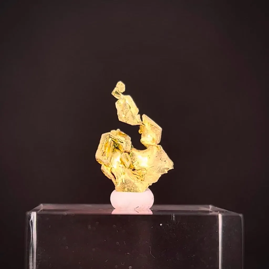 Gold - image 2