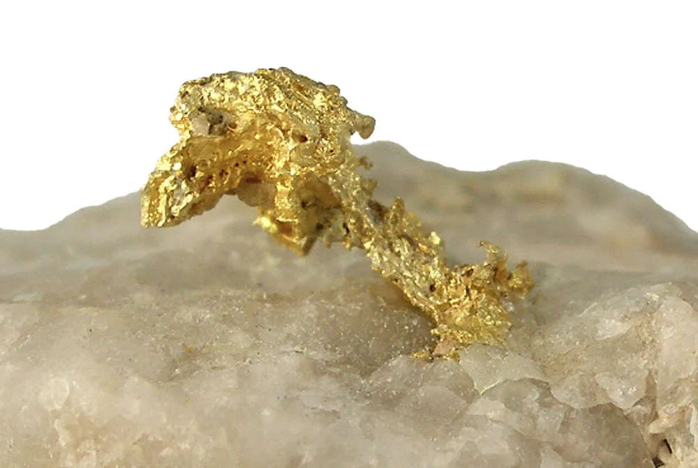 Gold image