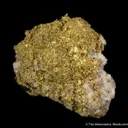 Gold - image 2