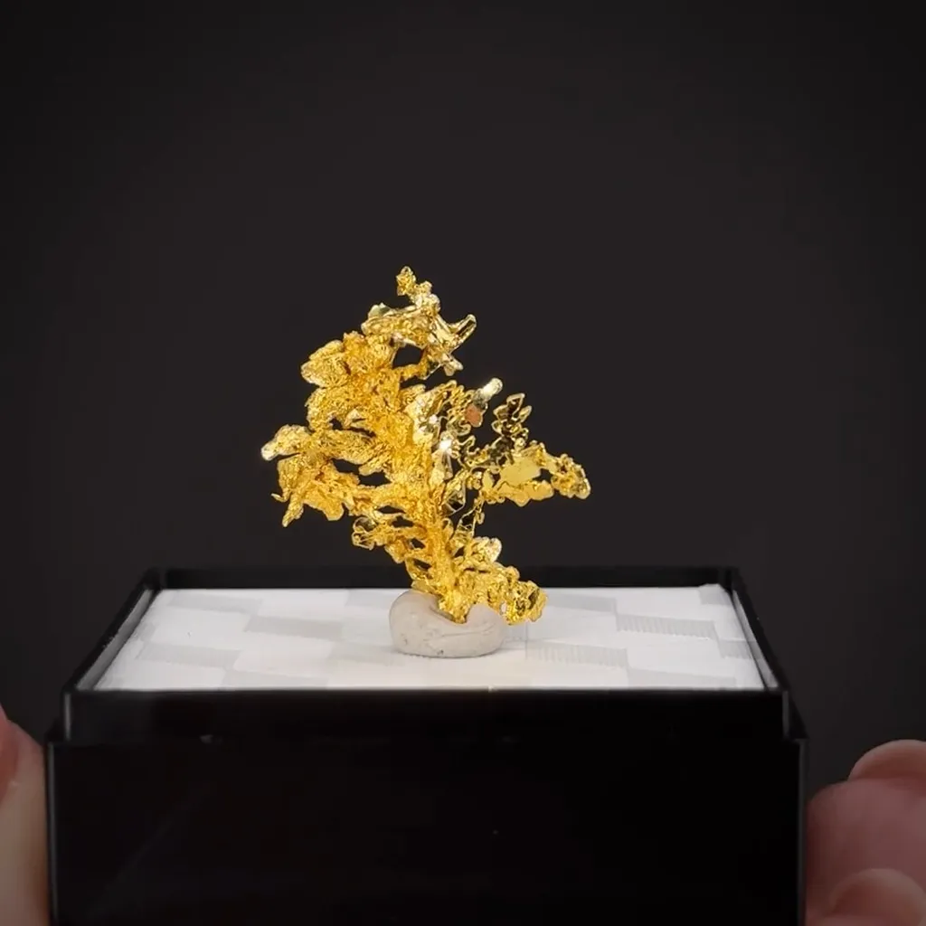 Gold - image 2