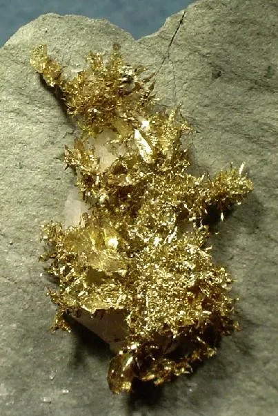 Gold - image 2