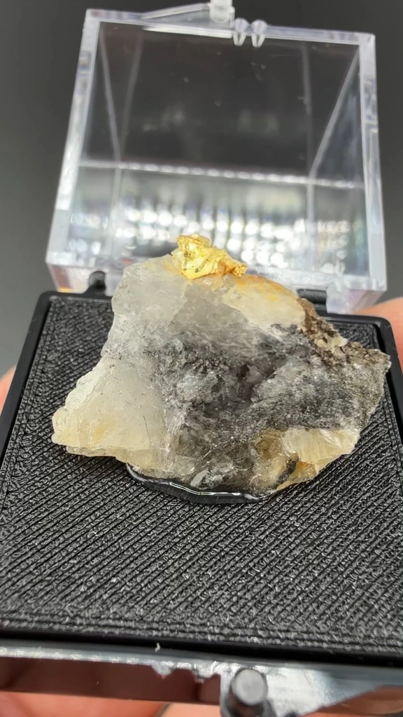 Gold - image 2
