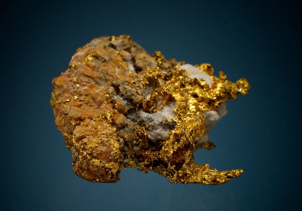 Gold - image 5