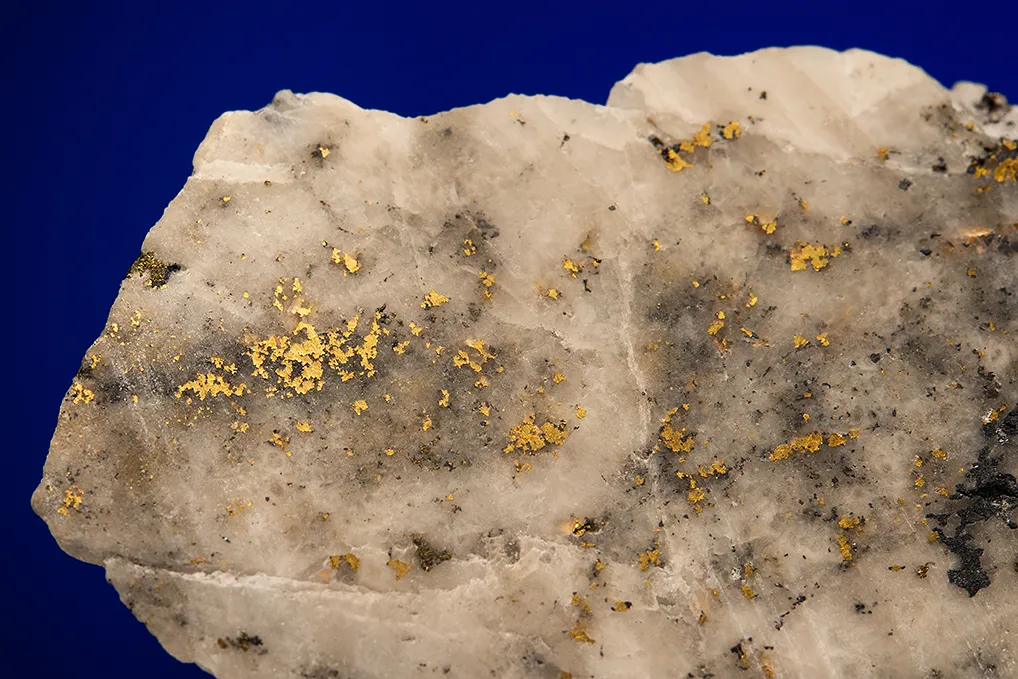 Gold - image 2