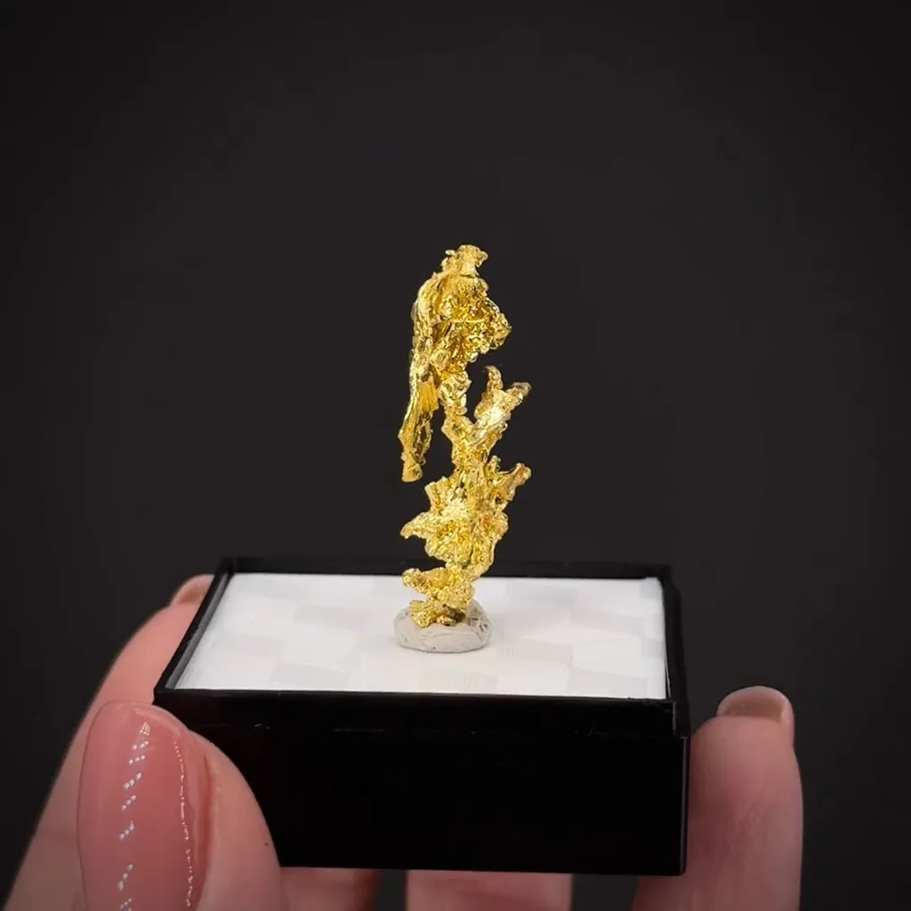 Gold - image 2