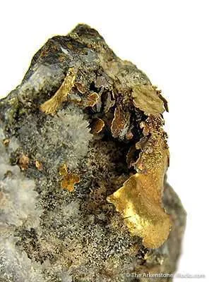 Gold - image 3